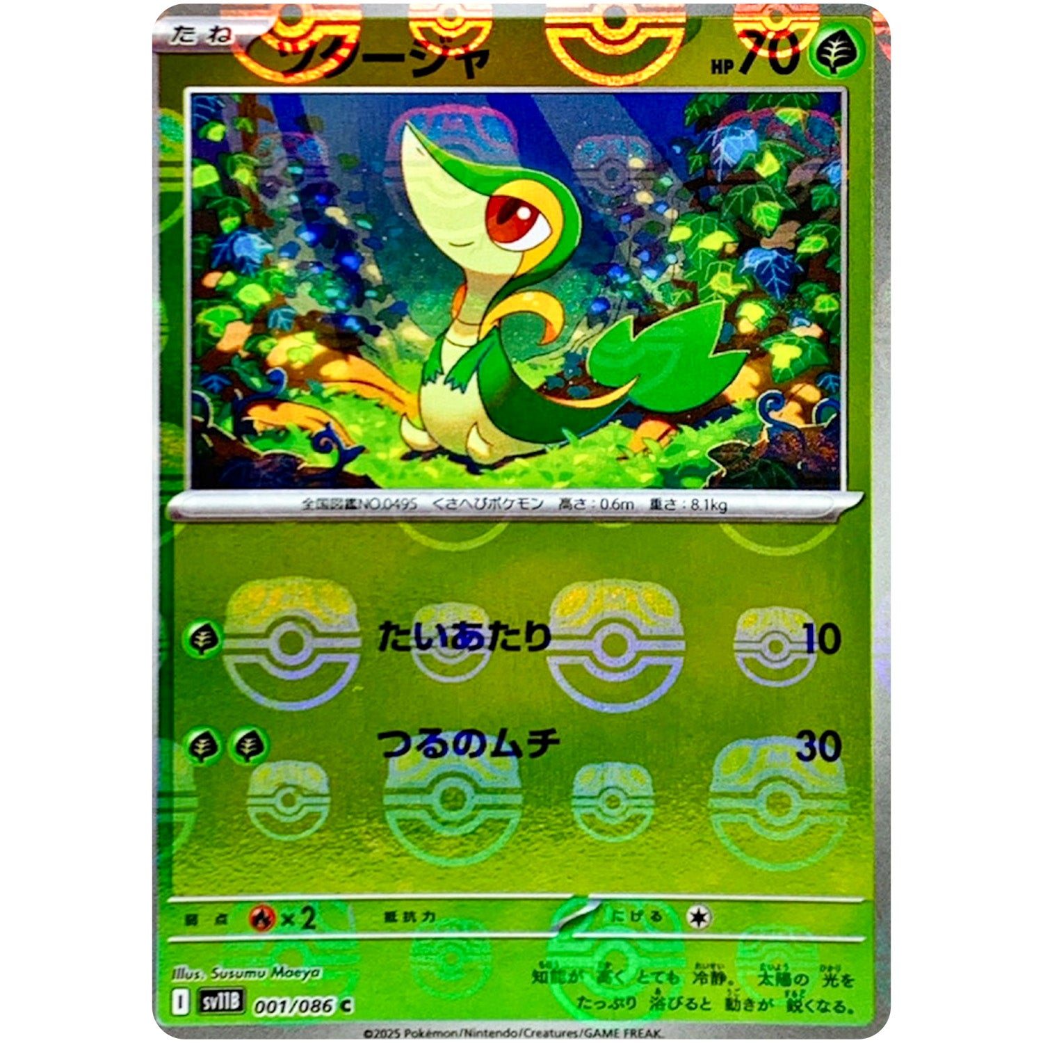 キ*ラ様 ワルビル ツタージャ マスボミラー PSA10 2枚セット ワルビル(マスターボールミラー)【C】{061/086} - カードラッシュ