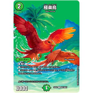 極楽鳥【R】(24EX2 超31/超47 天下夢双!!デュエキングDreaM 2024【DM24-EX2】)