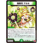 爆翠月 アカネ【R】(24EX3 36/80 刺激爆発デュエナマイトパック【DM24-EX3】)