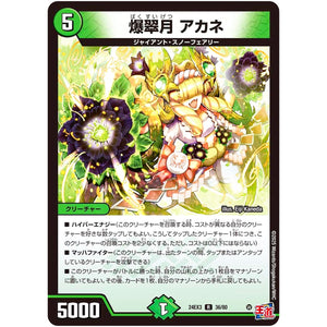 爆翠月 アカネ【R】(24EX3 36/80 刺激爆発デュエナマイトパック【DM24-EX3】)
