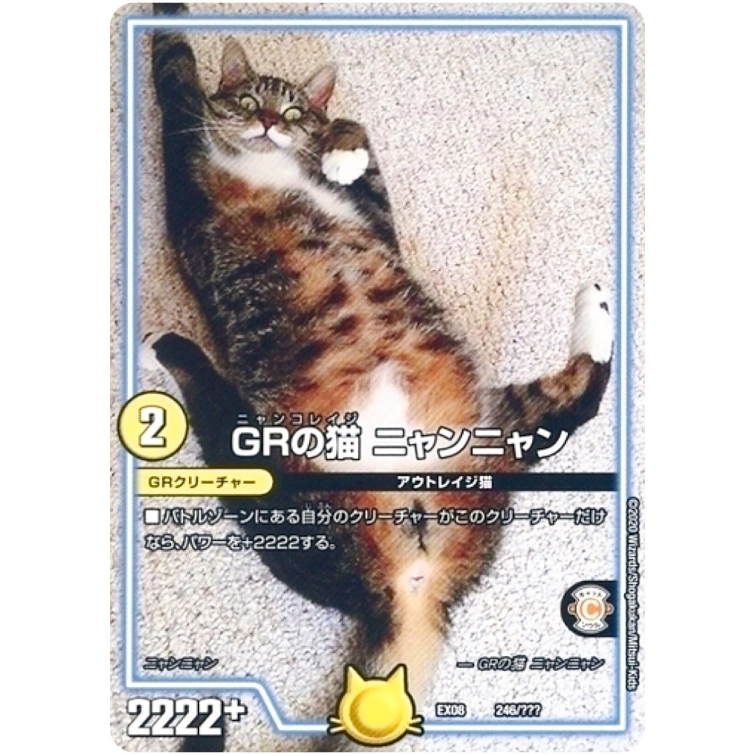 GRの猫 ニャンニャン (EX08 246/??? 謎のブラックボックスパック【DMEX-08】)