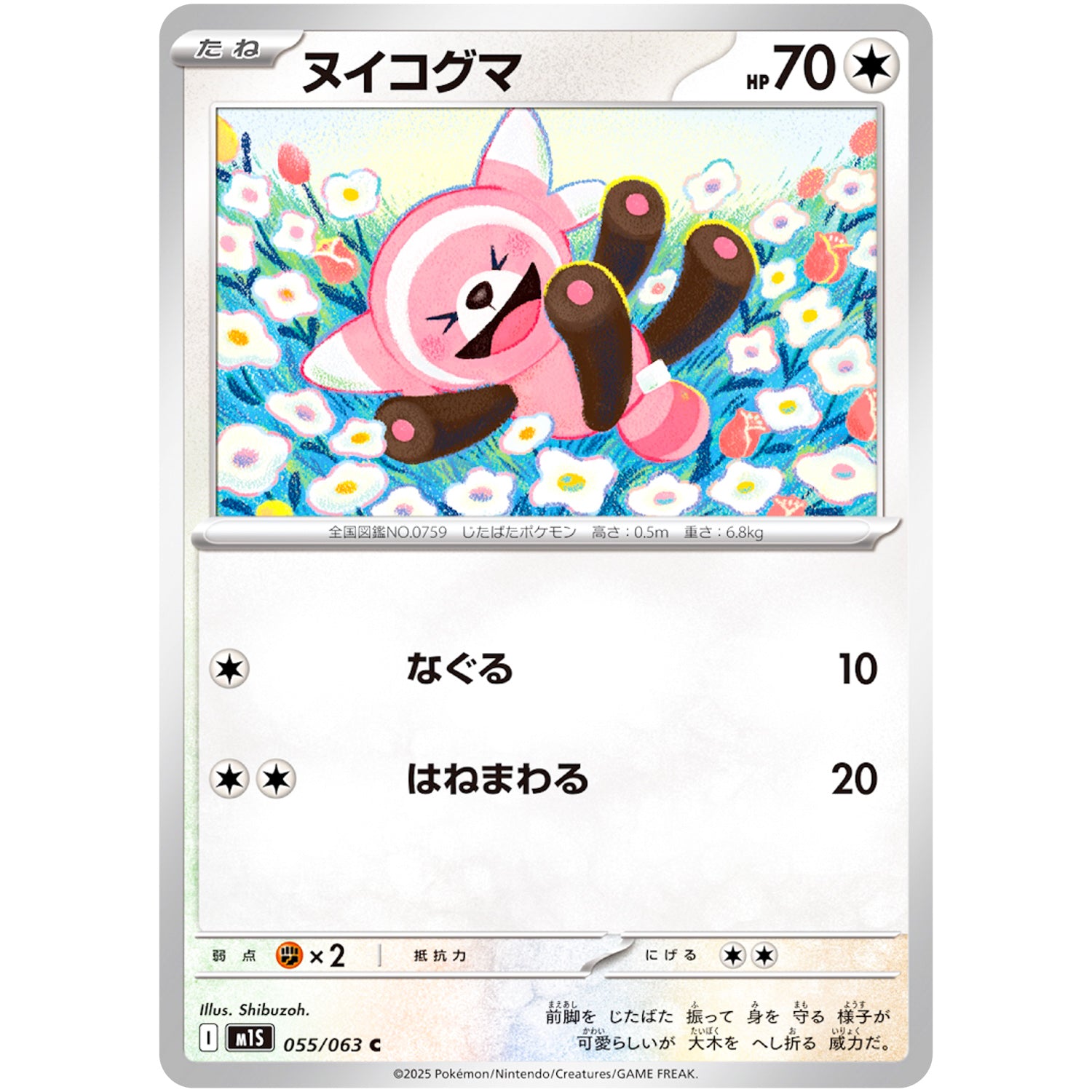 ヌイコグマ【C】(055/063 メガシンフォニア【M1S】)