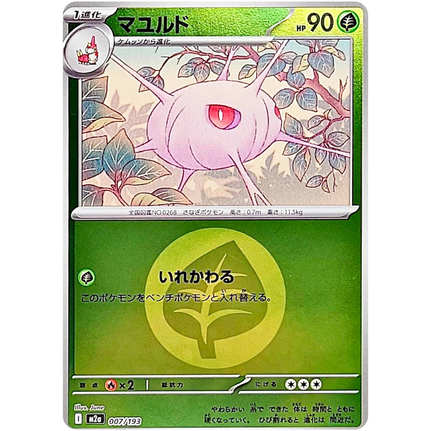 マユルド 草エネルギーミラー (007/193 MEGAドリームex【M2a】)