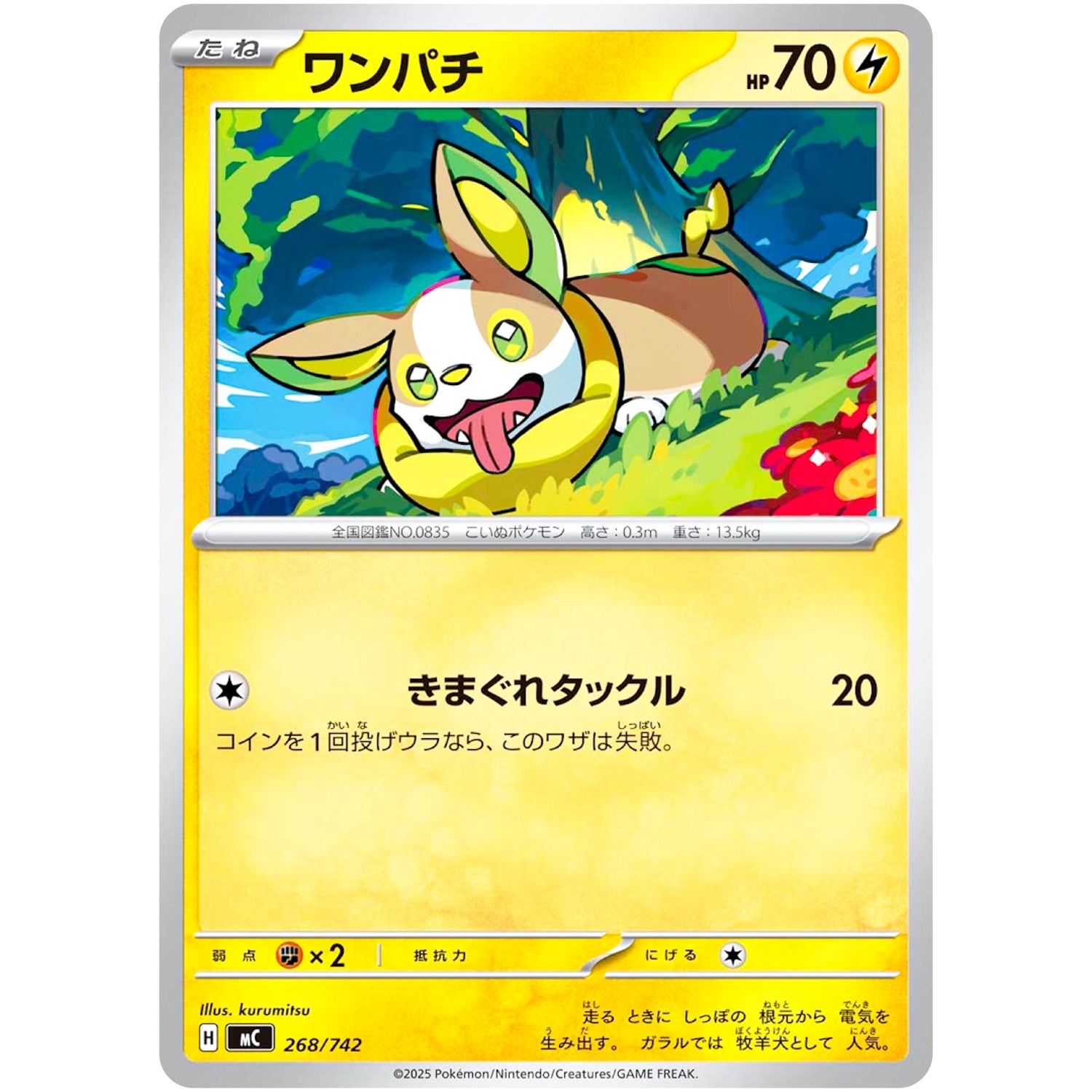 ワンパチ (268/742 スタートデッキ100 バトルコレクション【MC】)