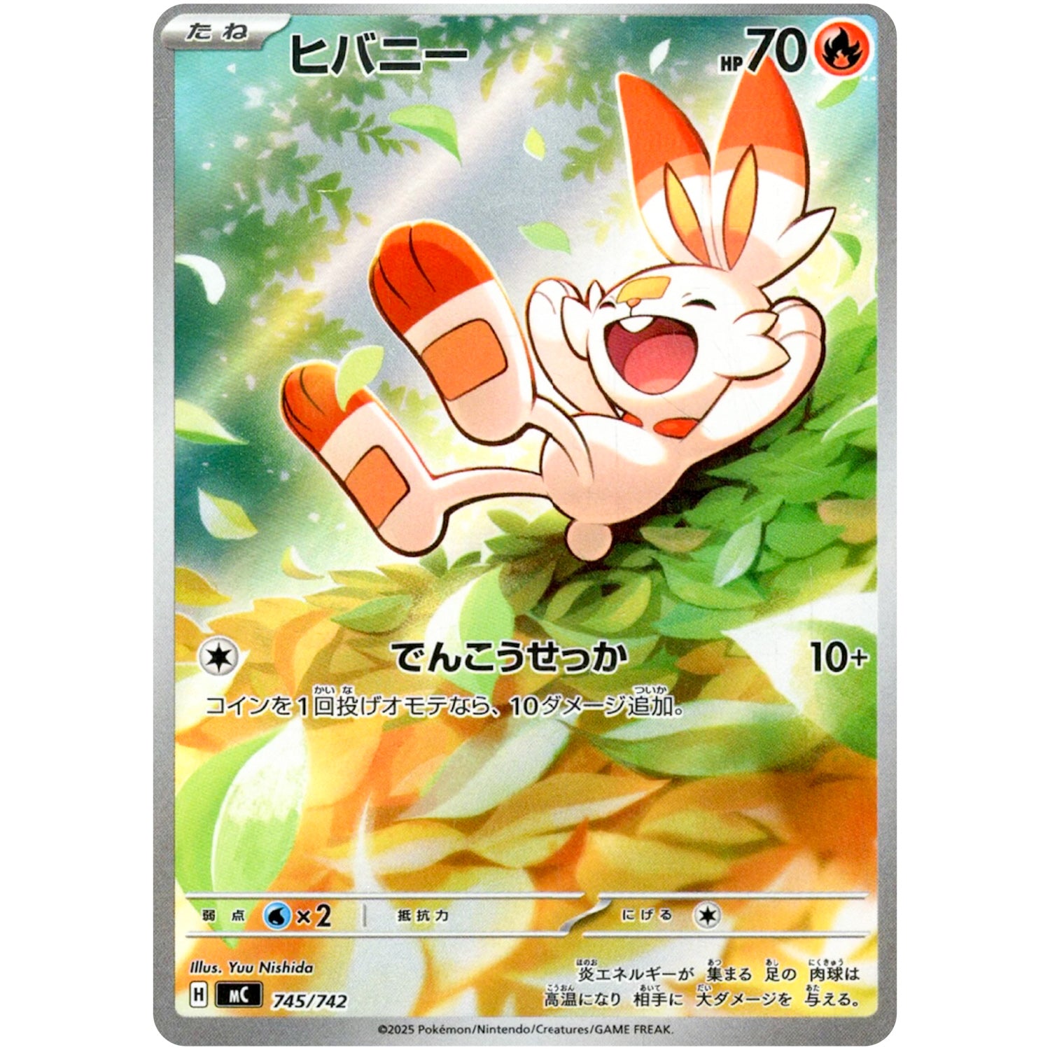 ARコレクション