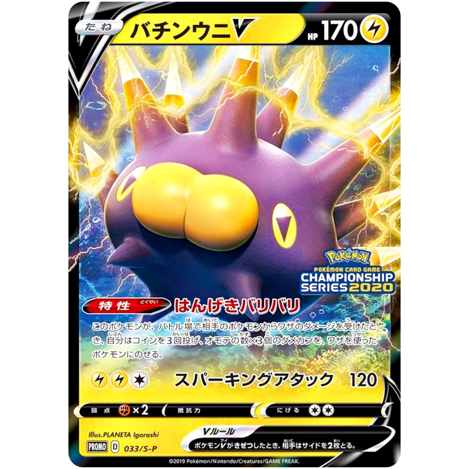 バチンウニ V (033/S-P チャンピオンズリーグ2020 愛知)