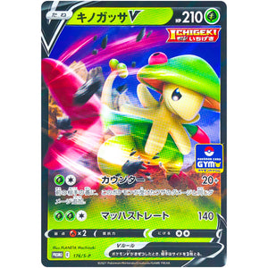 キノガッサ V (176/S-P ポケモンカードジム)
