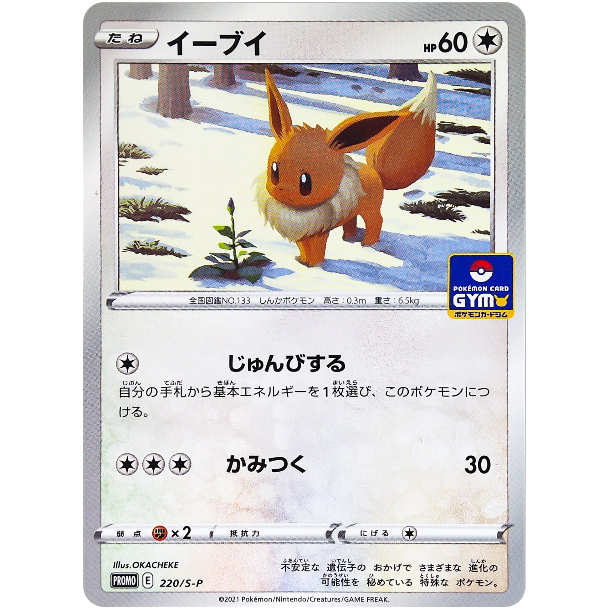 イーブイ (220/S-P ポケモンカードジム)