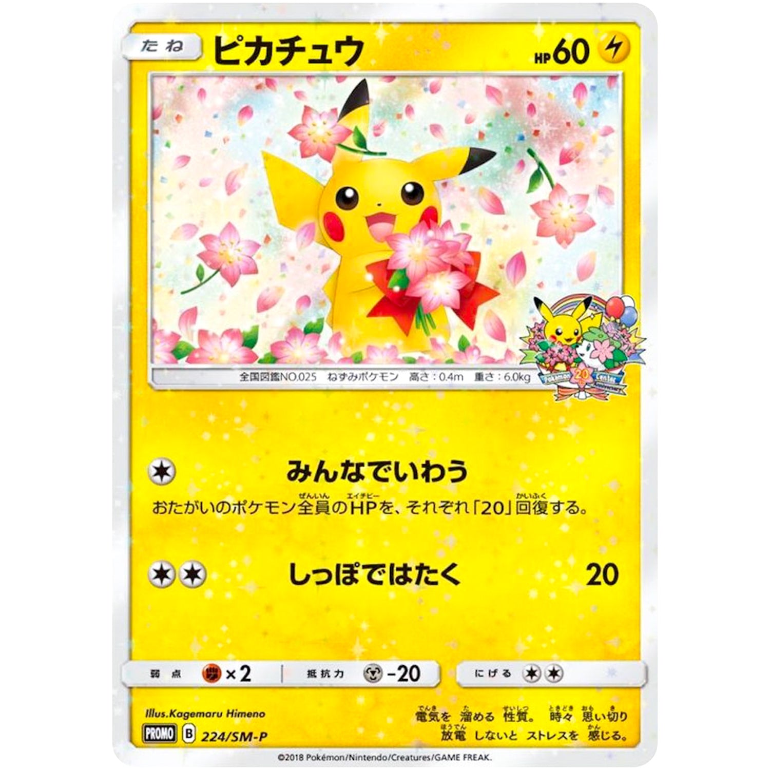 ピカチュウ (224/SM-P ポケモンセンターキャンペーン)