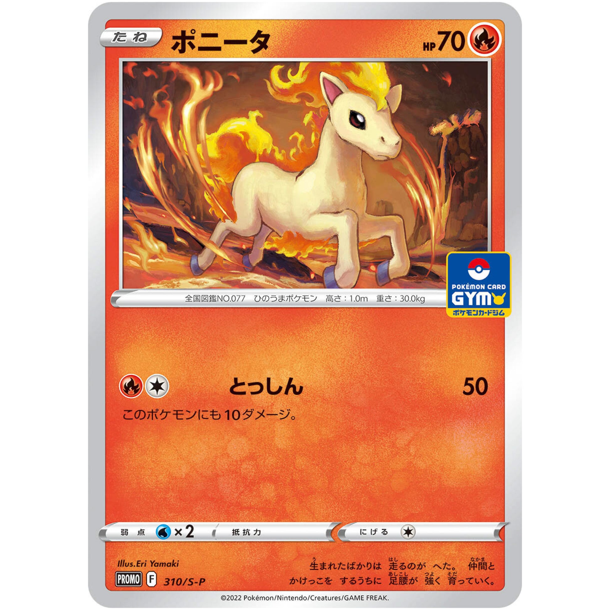 ポニータ (310/S-P ポケモンカードジム)