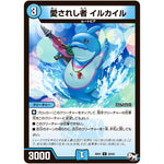 愛されし者 イルカイル【U】(RP01 39/93 デュエル・マスターズ 新1弾 ジョーカーズ参上！！【DMRP-01】)