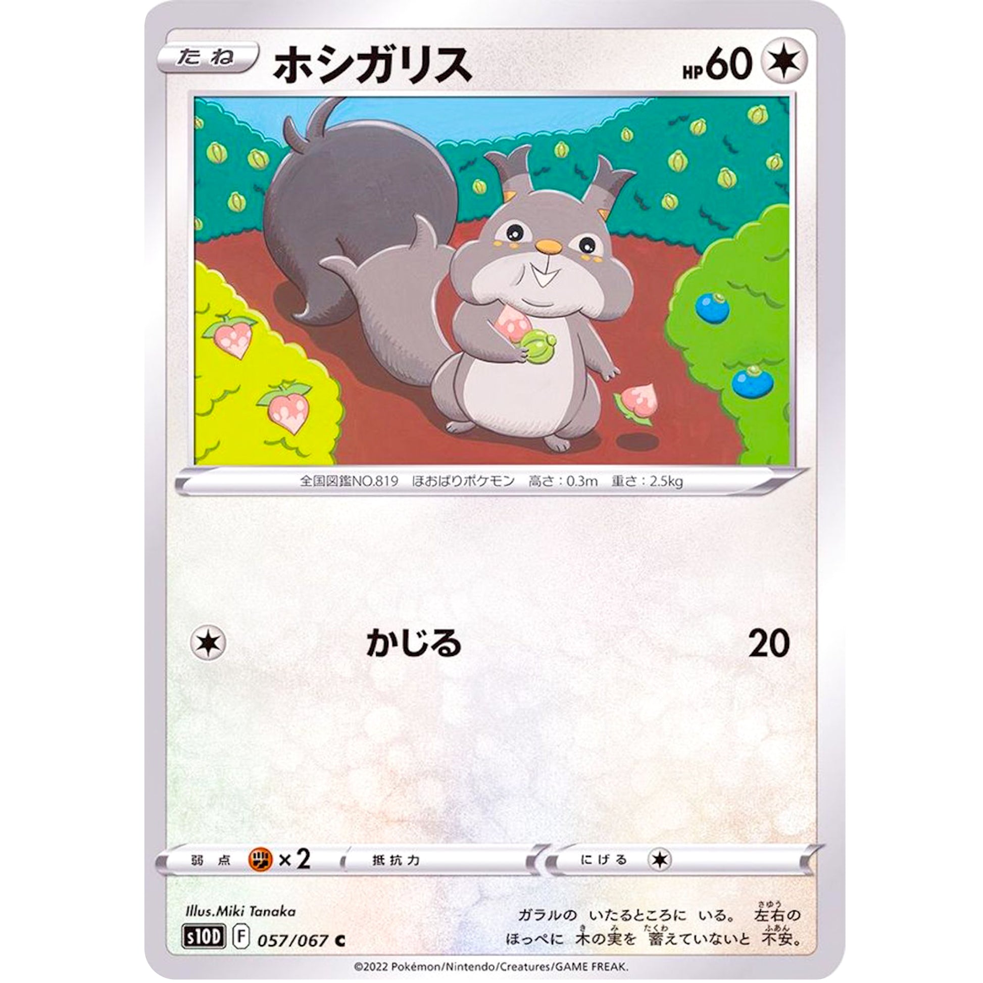 ホシガリス【C】(057/067 タイムゲイザー【S10D】)