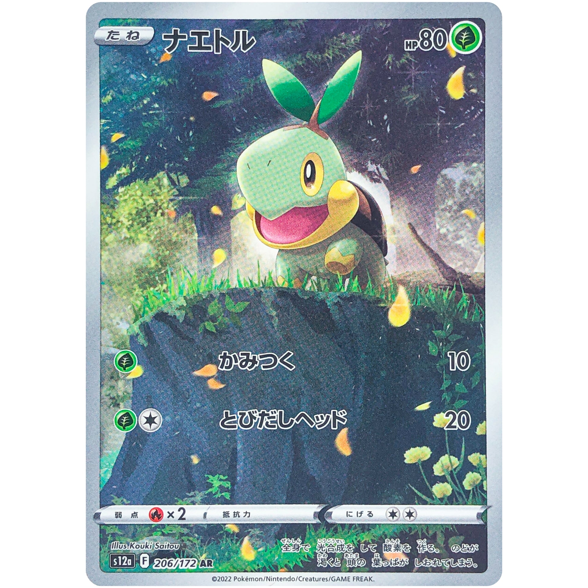 ナエトル【AR】(206/172 VSTARユニバース【S12a】)