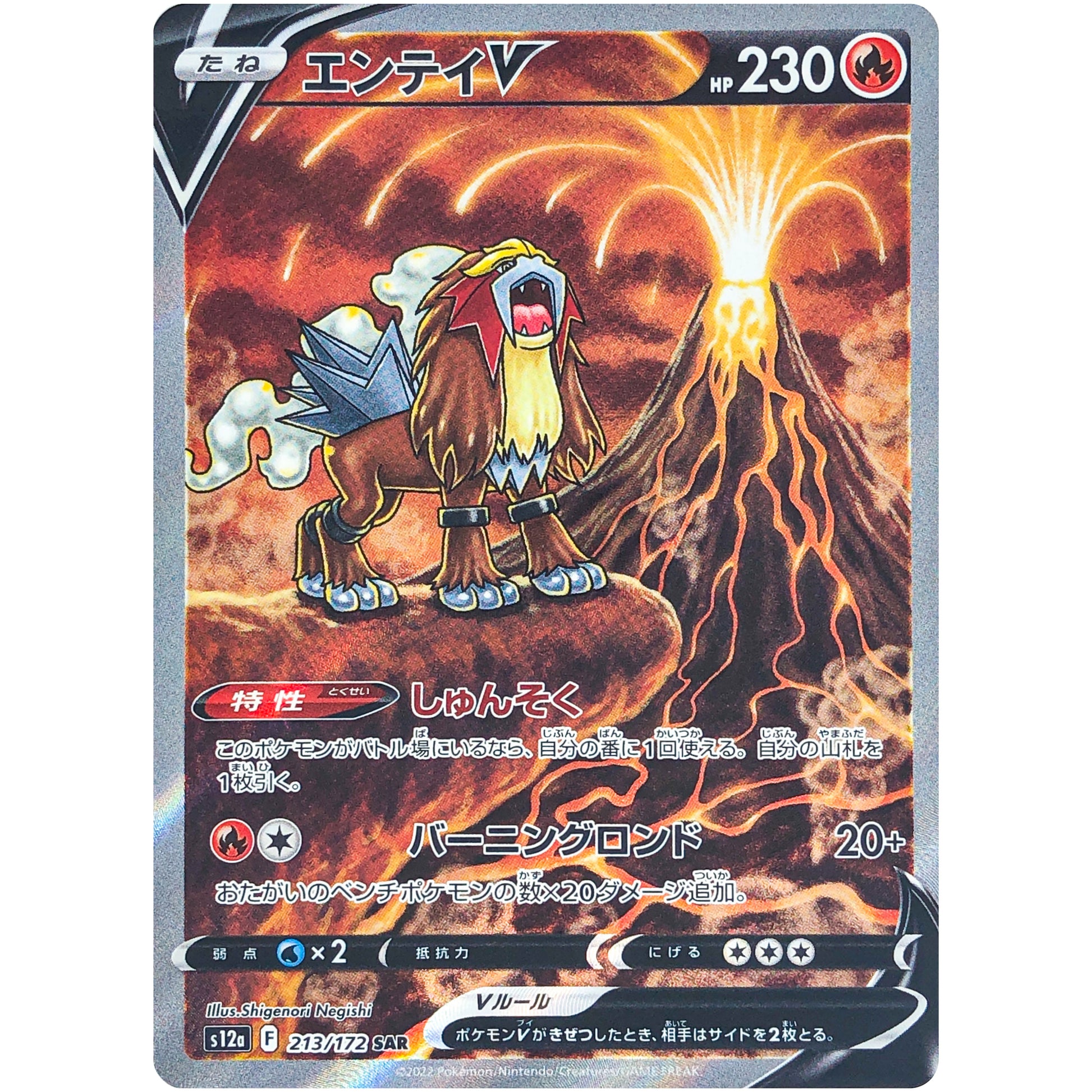 エンテイ V【SAR】(213/172 VSTARユニバース【S12a】)