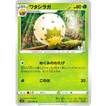 ワタシラガ【C】(005/060 シールド【S1H】)