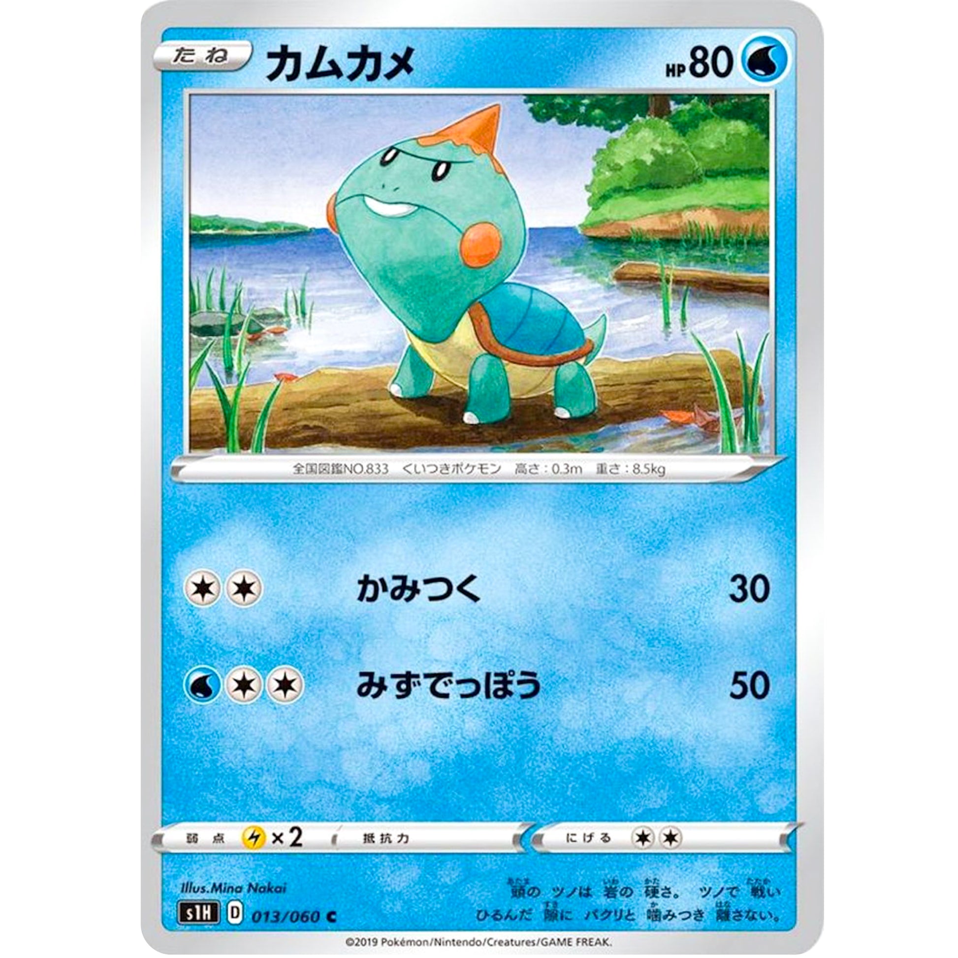 カムカメ【C】(013/060 シールド【S1H】)