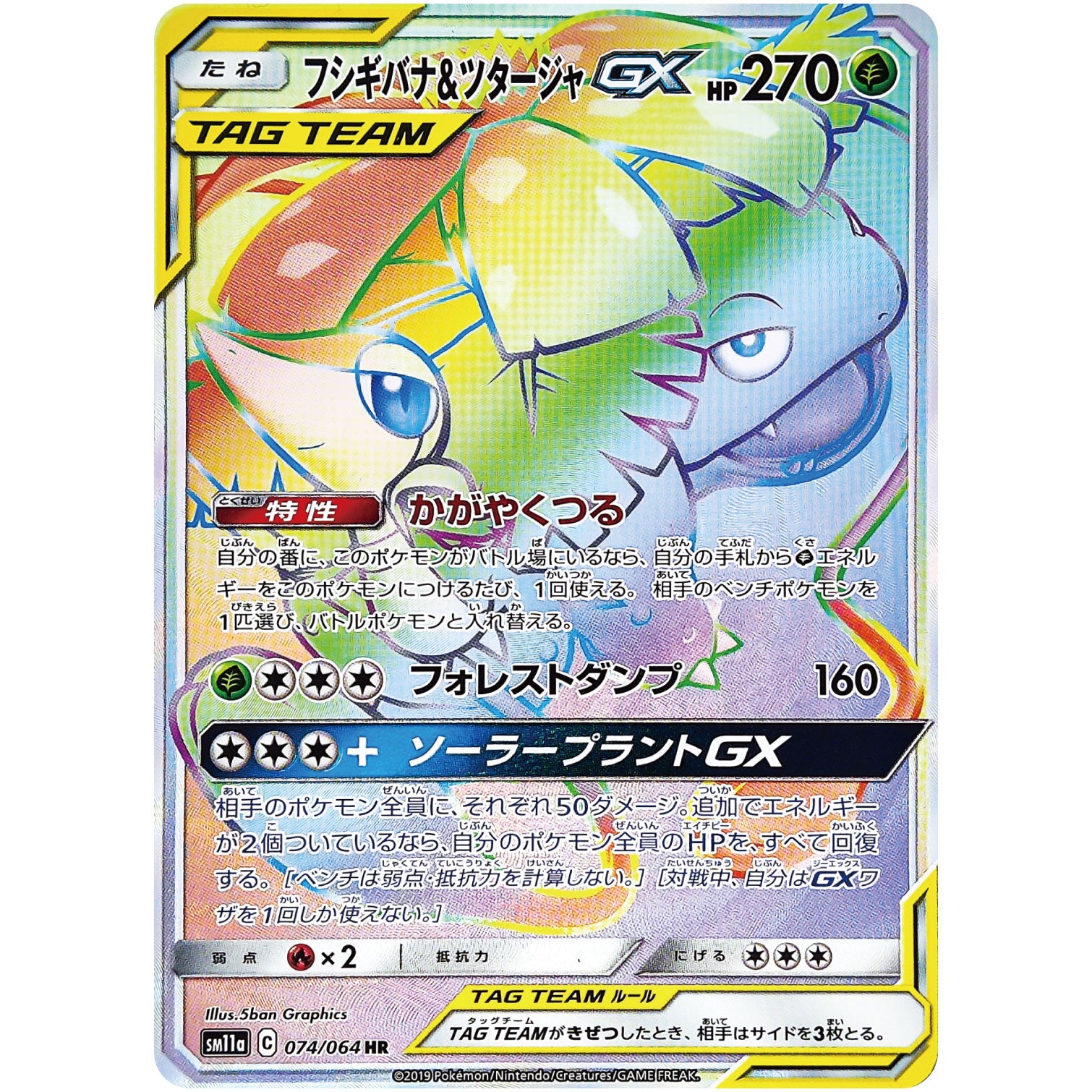 フシギバナ&ツタージャ GX【HR】(074/064 リミックスバウト【SM11a】)