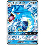 ギャラドス GX (015/051 ファミリーポケモンカードゲーム【SML】)