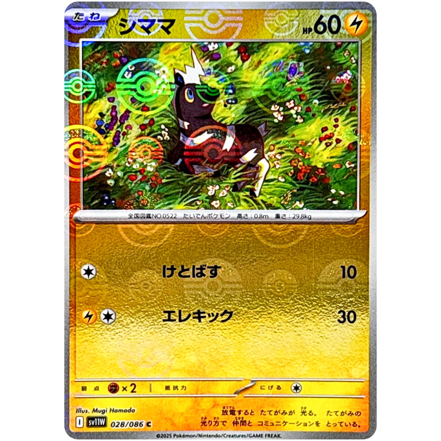 シママ ミラー【C】(028/086 ホワイトフレア【SV11W】)