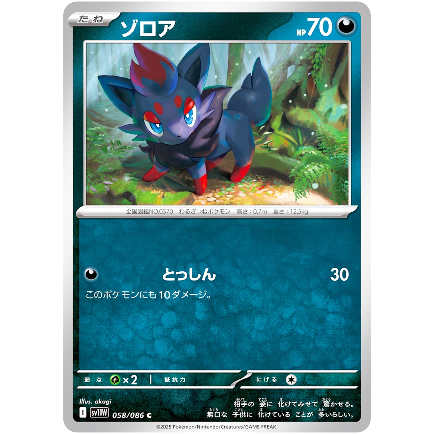 ゾロア【C】(058/086 ホワイトフレア【SV11W】)