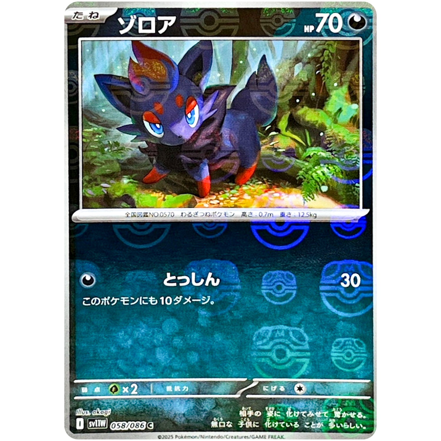 ゾロア マスターボールミラー【C】(058/086 ホワイトフレア【SV11W】)