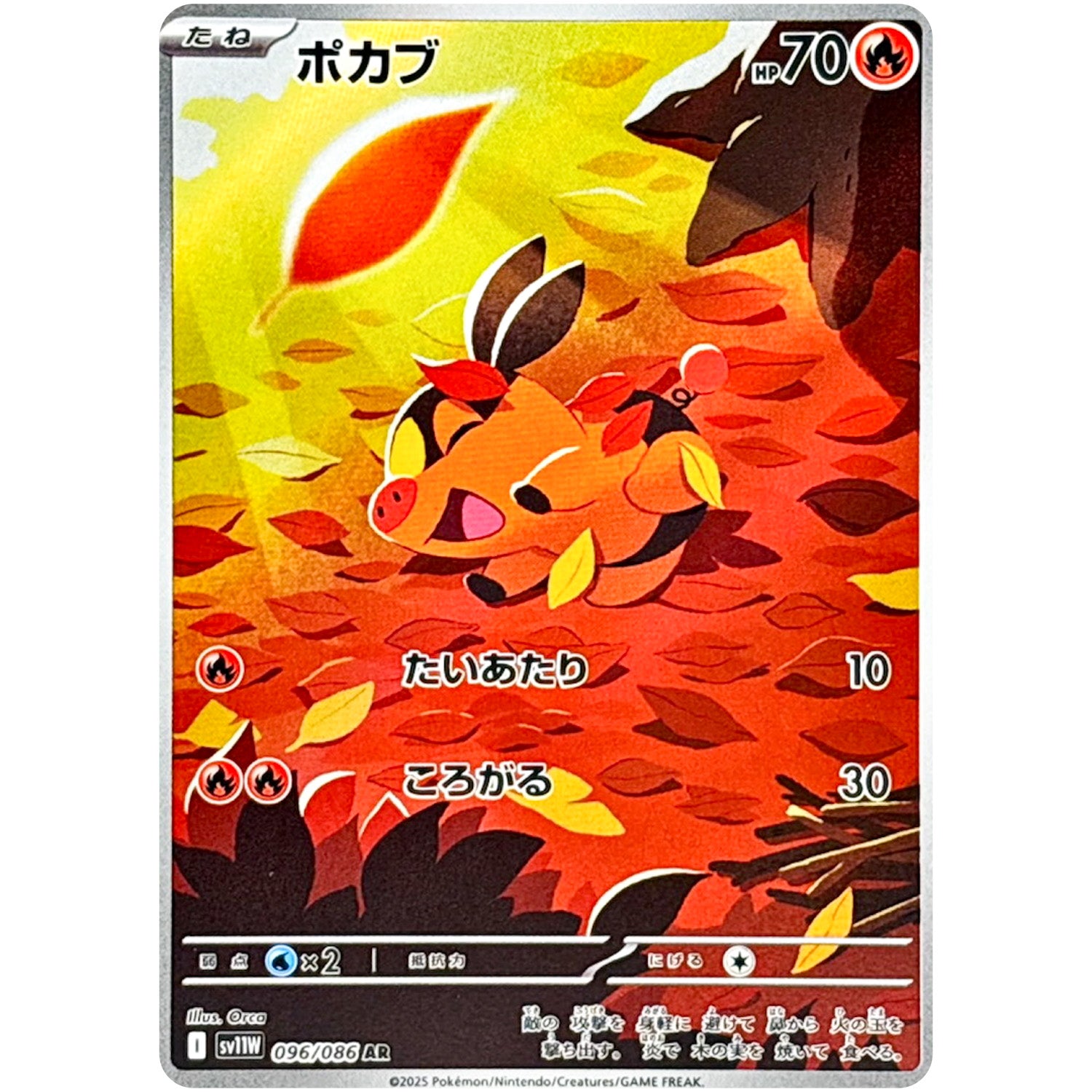 ポカブ【AR】(096/086 ホワイトフレア【SV11W】)