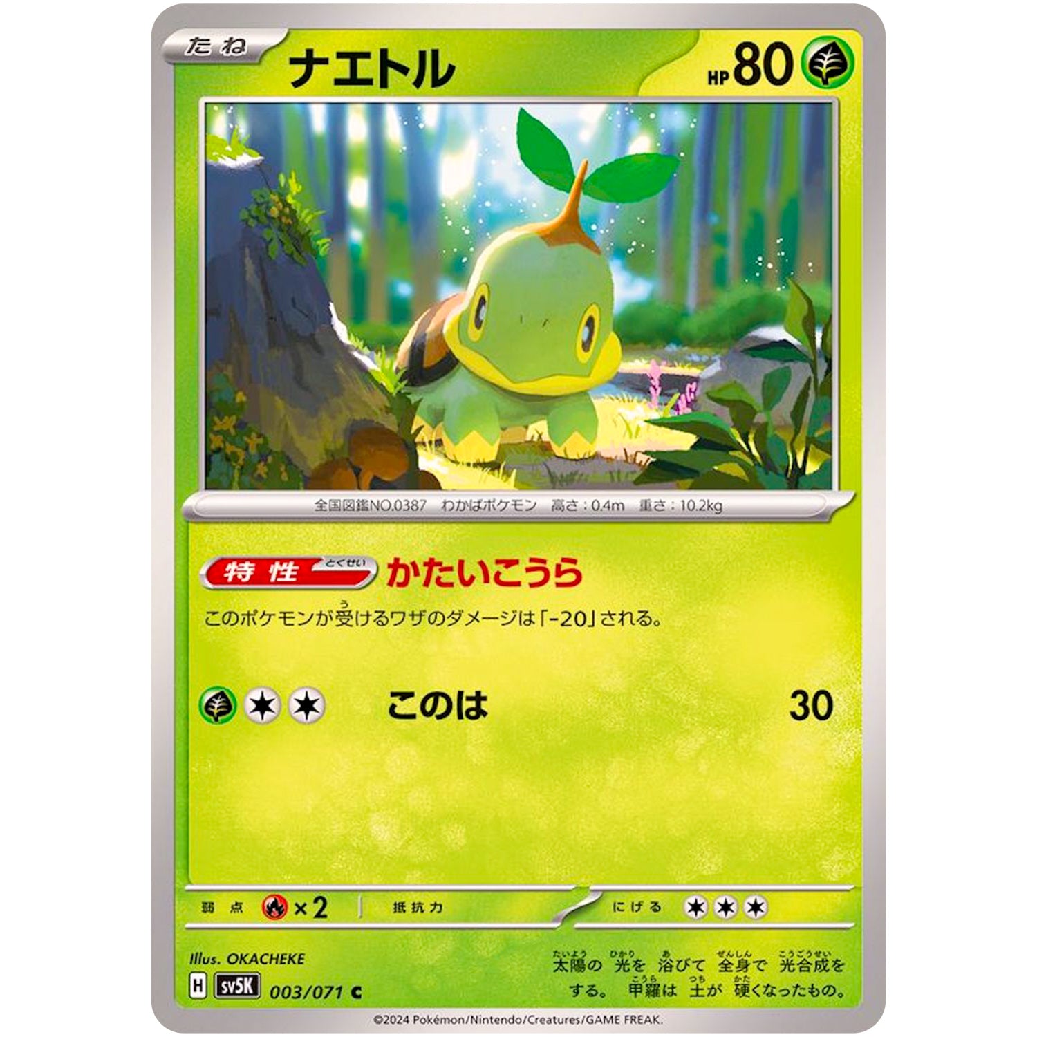 ナエトル【C】(003/071 ワイルドフォース【SV5K】)