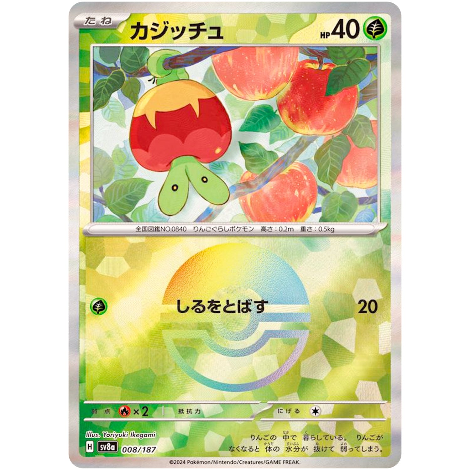 カジッチュ ミラー (008/187 テラスタルフェスex【SV8a】)