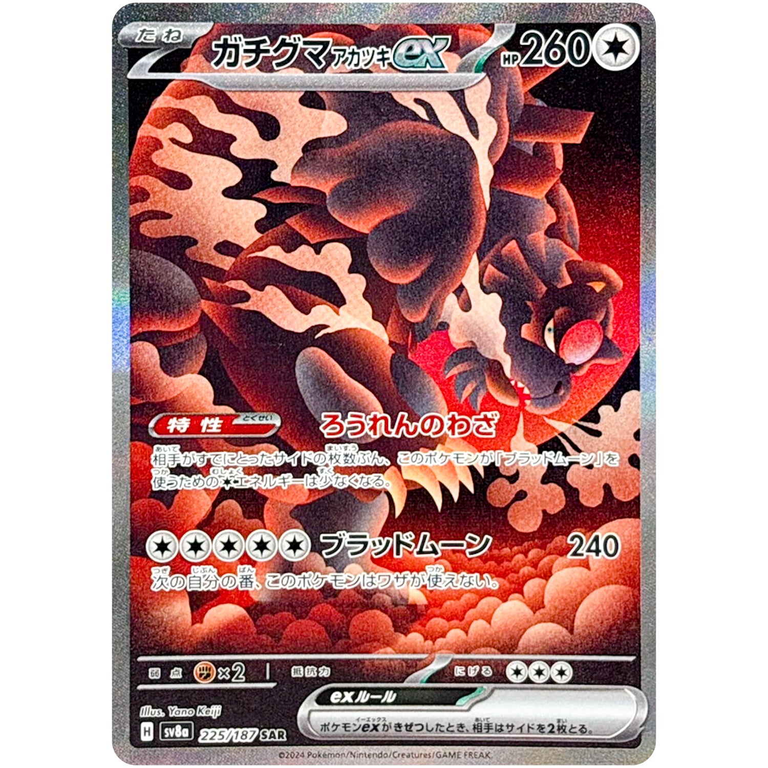 ガチグマアカツキ ex【SAR】(225/187 テラスタルフェスex【SV8a】)